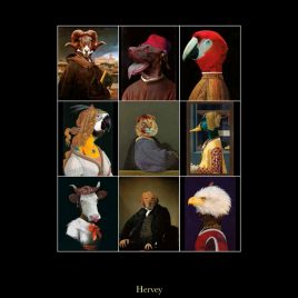 hervey, livre, bestiaire imaginaire, première de couverture