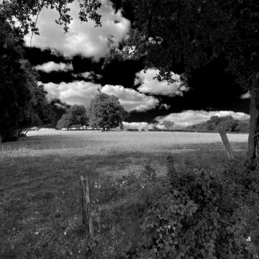 L&rsquo;été noir et blanc.