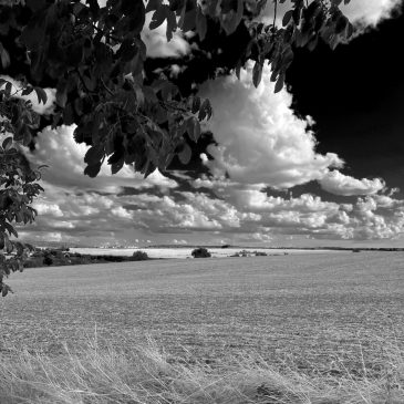 Petit territoire de Forterre en noir et blanc (aout 2026).